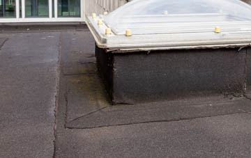 disadvantages of Hunger Hill flat roofs