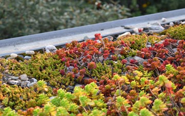the cost of Hunger Hill green roof installation