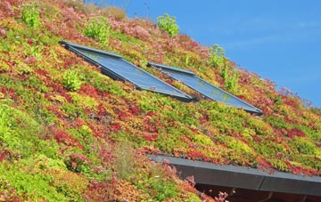 Hunger Hill living roof systems