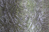 Hunger Hill fibreglass roof work